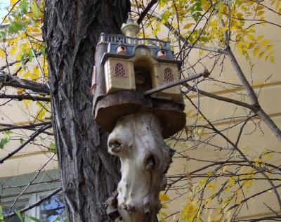 Прикрепленное изображение: DSCF6233.jpg